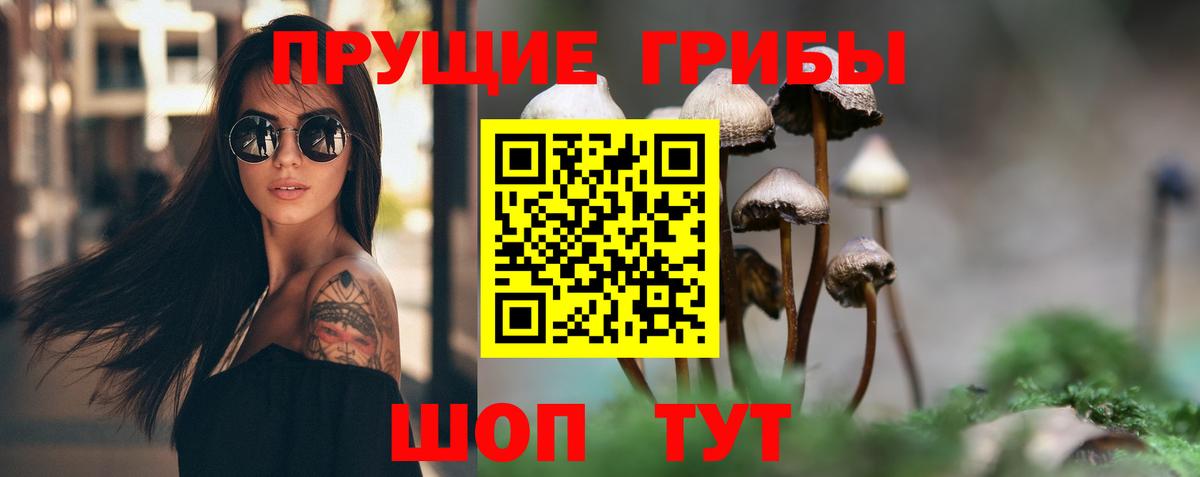 Псилоцибиновые грибы Psilocybe  Вход с VPN  Лабинск 
