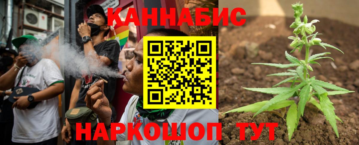 Конопля сатива Лабинск
